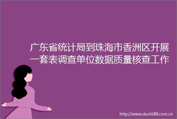广东省统计局到珠海市香洲区开展一套表调查单位数据质量核查工作