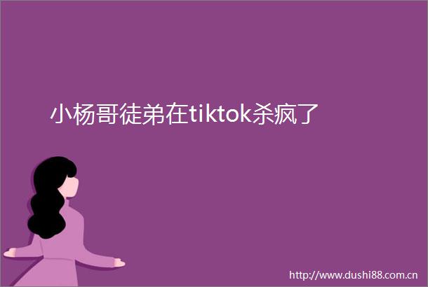 小杨哥徒弟在tiktok杀疯了