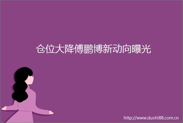 仓位大降傅鹏博新动向