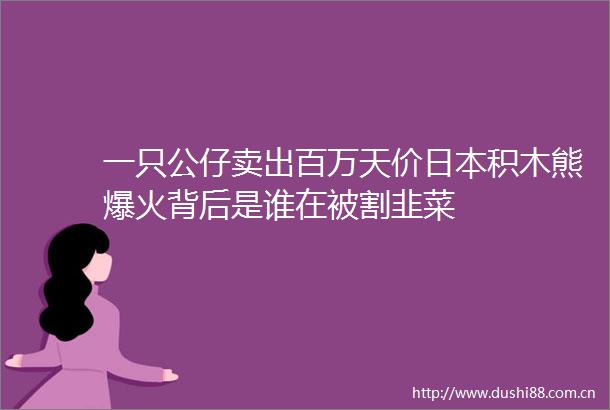 一只公仔卖出百万天价积木熊爆火背后是谁在被割韭菜
