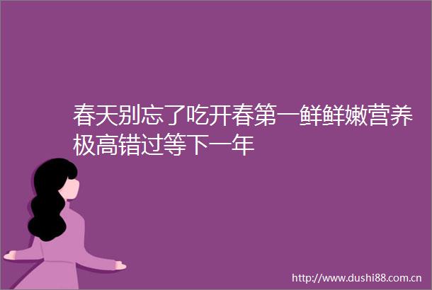 春天别忘了吃开春第一鲜鲜嫩营养极高错过等下一年