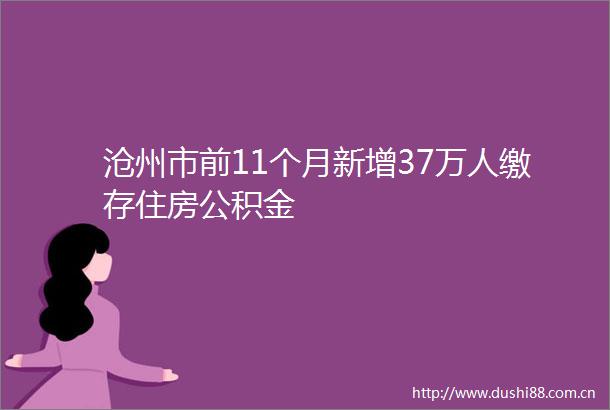 沧州市前11个月新增37万人缴存住房公积金