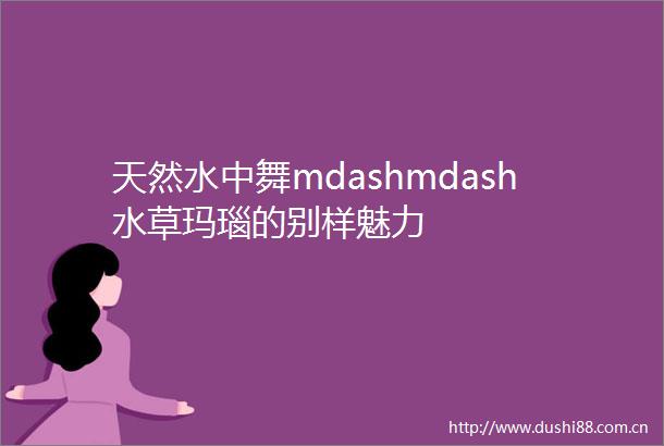天然水中舞mdashmdash水草玛瑙的别样魅力