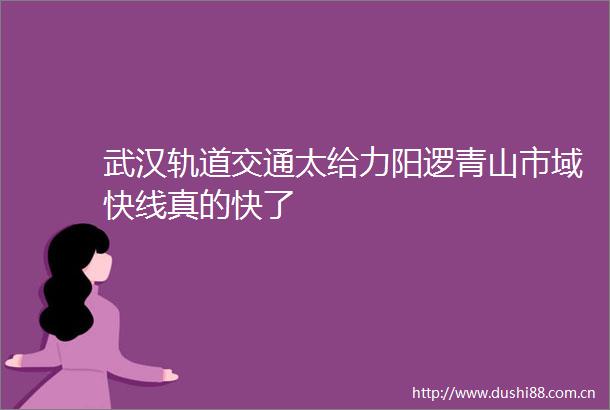 武汉轨道交通太给力阳逻青山市域快线真的快了