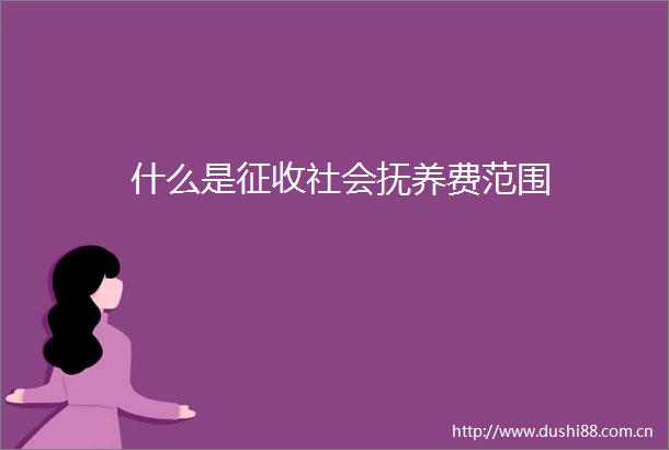 什么是征收社会抚养费范围