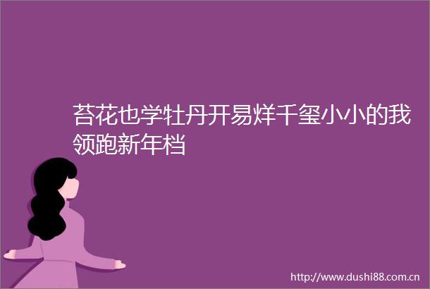 苔花也学牡丹开易烊千玺小小的我领跑新年档