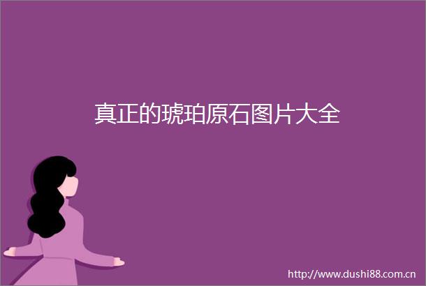 真正的琥珀原石图片大全
