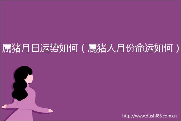 属猪月日运势如何（属猪人月份命运如何）