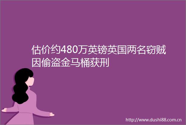 估价约480万英镑英国两名窃贼因偷盗金马桶获刑