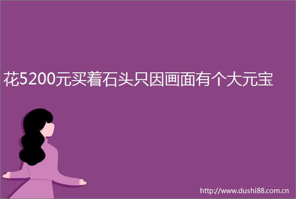花5200元买着石头只因画面有个大元宝