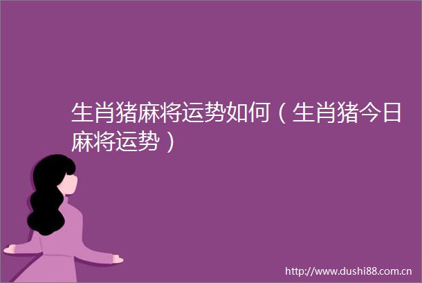 生肖猪麻将运势如何（生肖猪今日麻将运势）