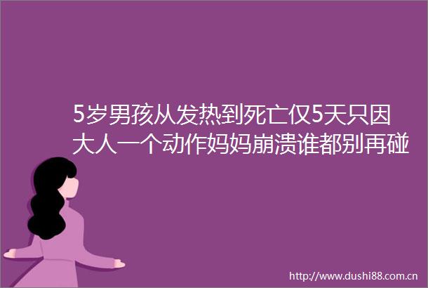 5岁男孩从发热到死亡仅5天只因大人一个动作妈妈崩溃谁都别再碰我孩子