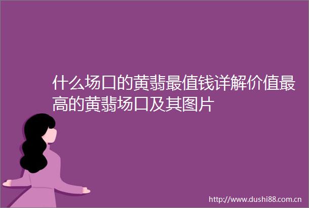 什么场口的黄翡最值钱详解价值最高的黄翡场口及其图片