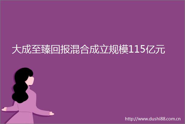 大成至臻回报混合成立规模115亿元