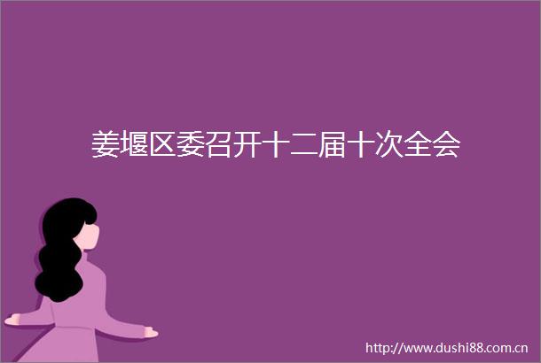 姜堰区委召开十二届十次全会