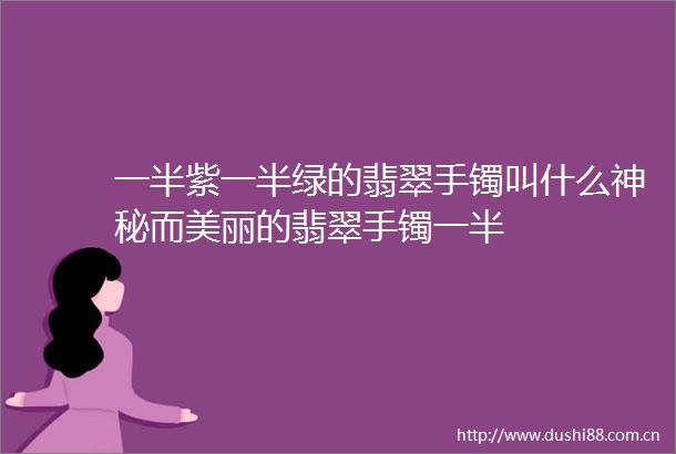一半紫一半绿的翡翠手镯叫什么神秘而美丽的翡翠手镯一半