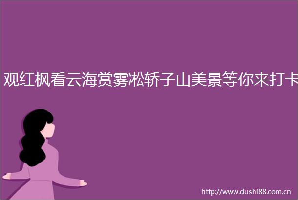 观红枫看云海赏雾凇轿子山美景等你来打卡