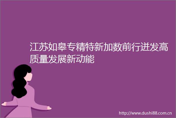 江苏如皋专精特新加数前行迸发高质量发展新动能