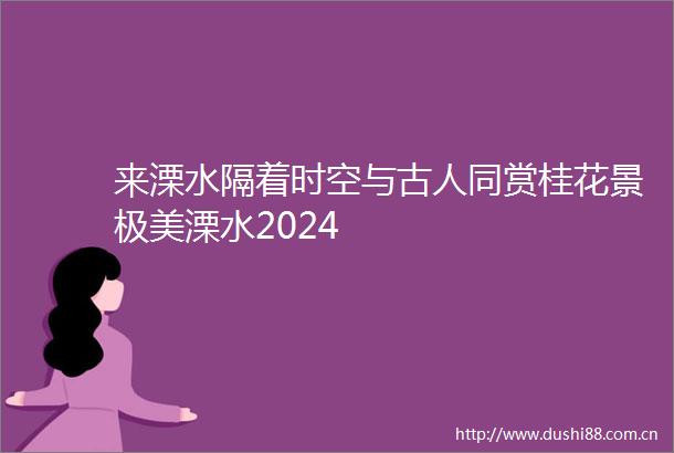 来溧水隔着时空与古人同赏桂花景极美溧水2024