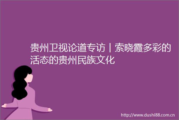 贵州卫视论道专访︱索晓霞多彩的活态的贵州民族文化