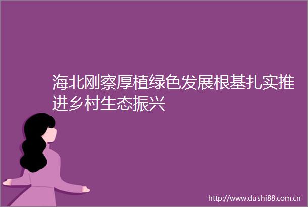 海北刚察厚植绿色发展根基扎实推进乡村生态振兴