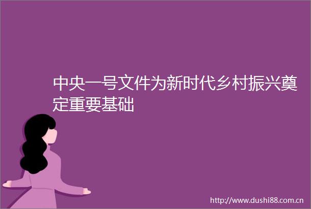 中央一号文件为新时代乡村振兴奠定重要基础