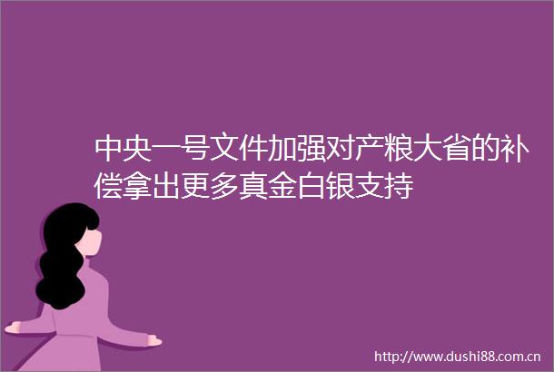 中央一号文件加强对产粮大省的补偿拿出更多真金白银支持