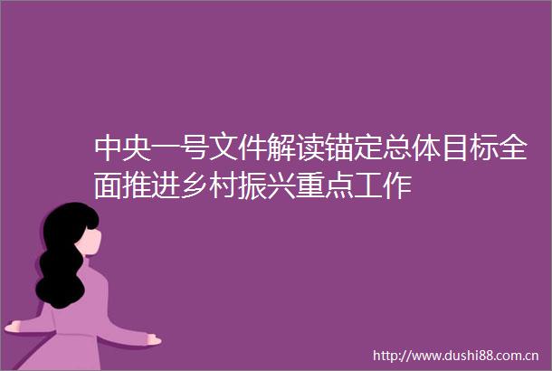 中央一号文件解读锚定总体目标全面推进乡村振兴重点工作