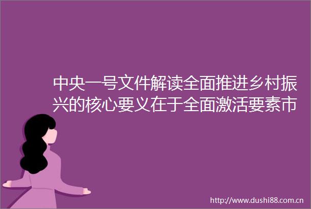 中央一号文件解读全面推进乡村振兴的核心要义在于全面激活要素市场