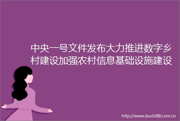 中央一号文件发布大力推进数字乡村建设加强农村信息基础设施建设
