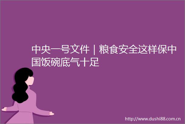 中央一号文件｜粮食安全这样保饭碗底气十足