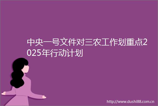 中央一号文件对三农工作划重点2025年行动计划