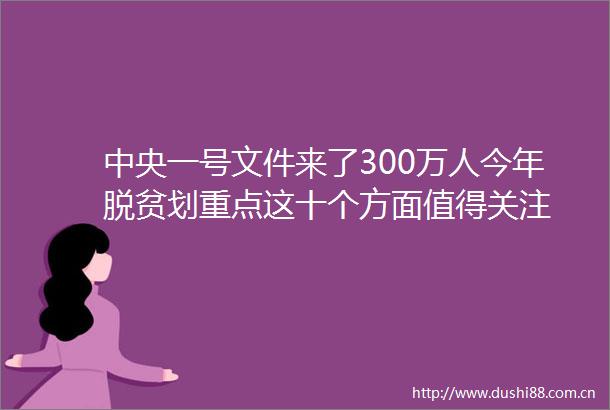中央一号文件来了300万人今年脱贫划重点这十个方面值得关注