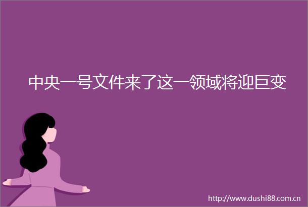 中央一号文件来了这一领域将迎巨变