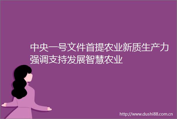 中央一号文件首提农业新质生产力强调支持发展智慧农业