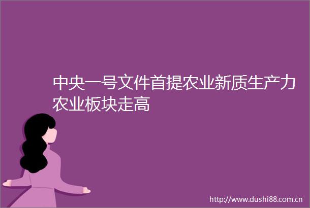 中央一号文件首提农业新质生产力农业板块走高