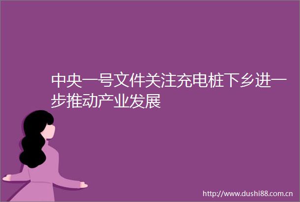 中央一号文件关注充电桩下乡进一步推动产业发展