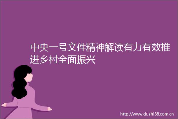中央一号文件精神解读有力有效推进乡村全面振兴