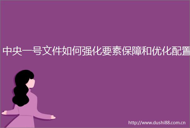 中央一号文件如何强化要素保障和优化配置