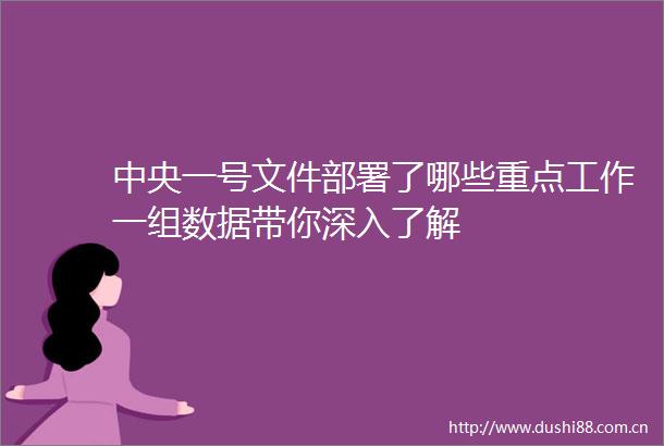 中央一号文件部署了哪些重点工作一组数据带你深入了解