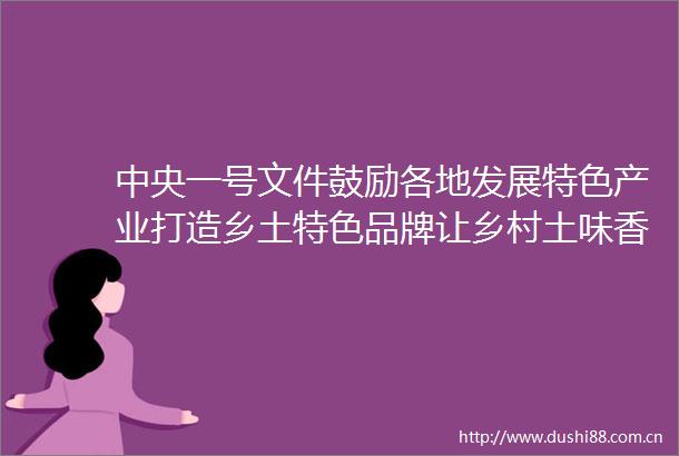 中央一号文件鼓励各地发展特色产业打造乡土特色品牌让乡村土味香飘更远