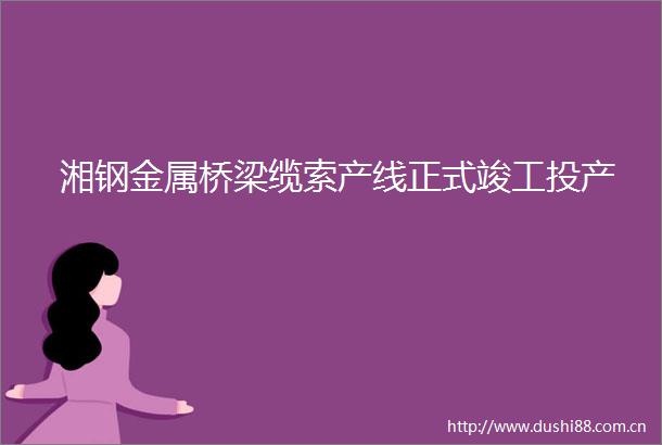 湘钢金属桥梁缆索产线正式竣工投产