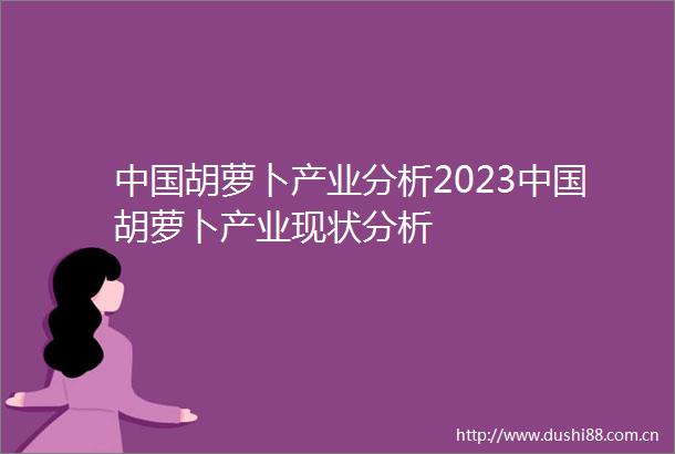 胡萝卜产业分析2023胡萝卜产业现状分析