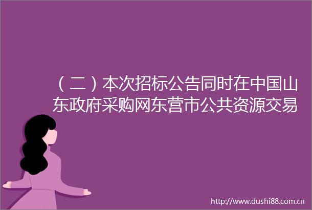 （二）本次招标公告同时在山东采购网东营市公共资源交易网上发布