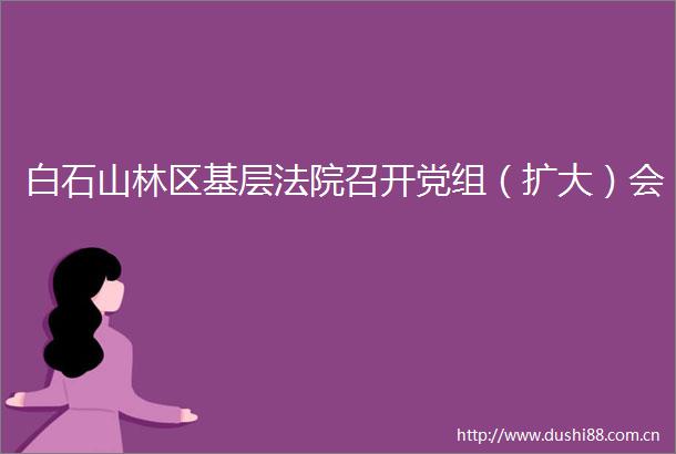 白石山林区基层召开党组（扩大）会