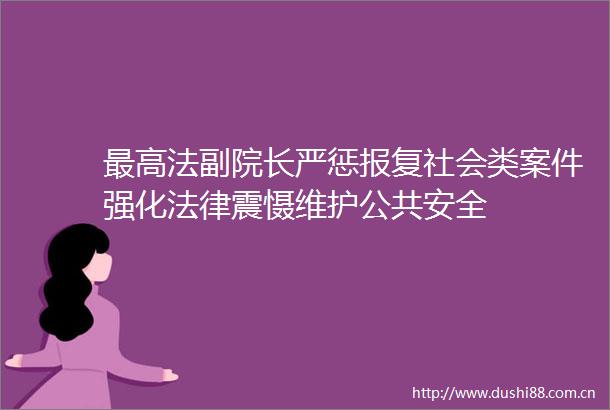 最高法副院长严惩社会类案件强化震慑维护公共安全
