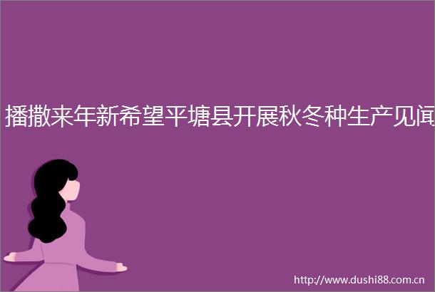 播撒来年新希望平塘县开展秋冬种生产见闻