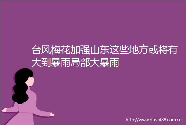 台风梅花加强山东这些地方或将有大到暴雨局部大暴雨