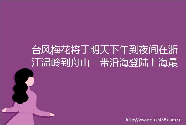 台风梅花将于明天下午到夜间在浙江温岭到舟山一带沿海登陆上海最强风雨影响时段出现在明天