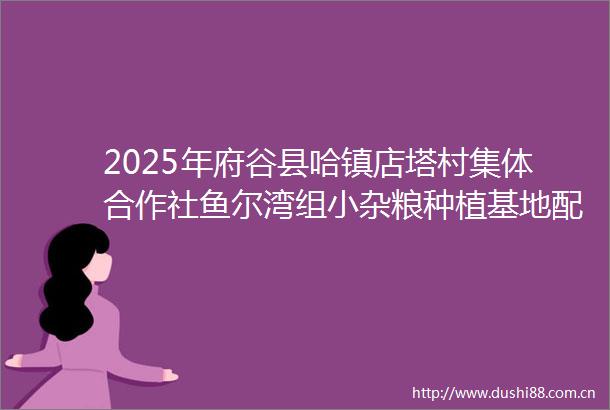 2025年府谷县哈镇店塔村集体合作社鱼尔湾组小杂粮种植基地配套项目工程竞争性磋商公告